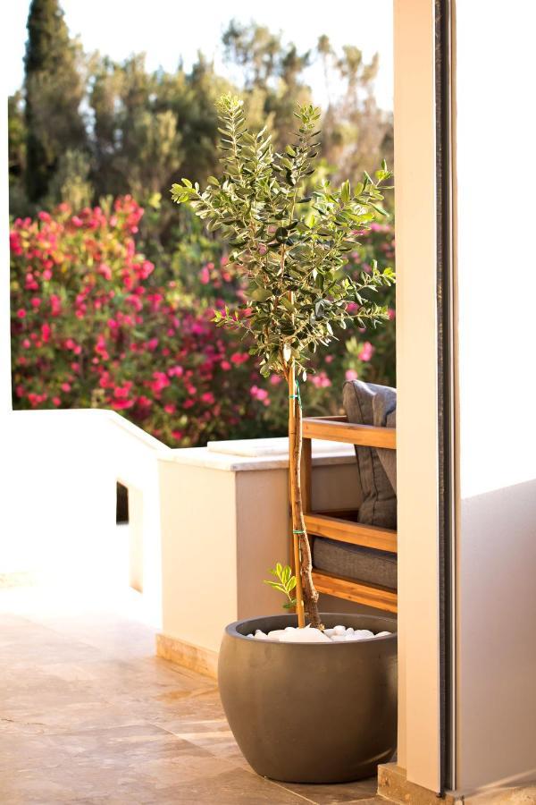 Horizon Hotel Kalymnos Myrties Exteriér fotografie